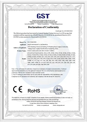 CE-rohs Certification（BT100 Dash Cam